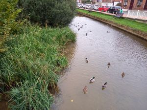 Photo 1- click for photo gallery